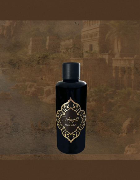 AMYTIS  EDPS - Recharge