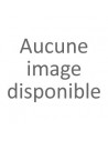 La légende des Jardins de Babylone